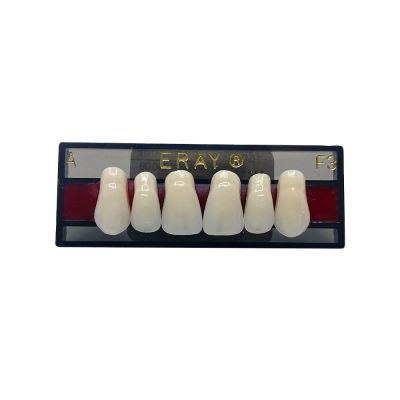 Dents Antérieures Maxi. Eray #F3, C4 - Plaquette De 6