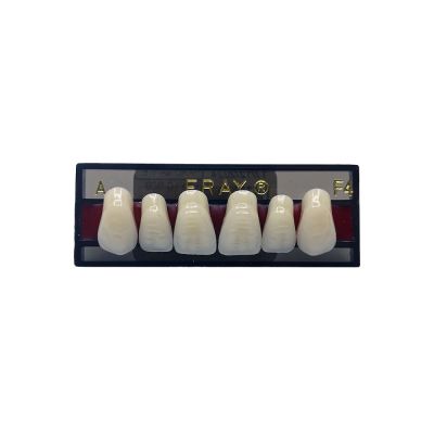 Dents Antérieures Maxi. Eray #F4, C4 - Plaquette De 6