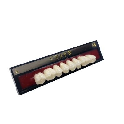 Dents Postérieures Mand. Eray #AB, C4 - Plaquette De 8