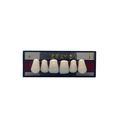 Dents Antérieures Maxi. Eray #E1, D2 - Plaquette De 6