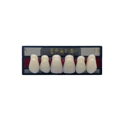 Dents Antérieures Maxi. Eray #E4, D2 - Plaquette De 6