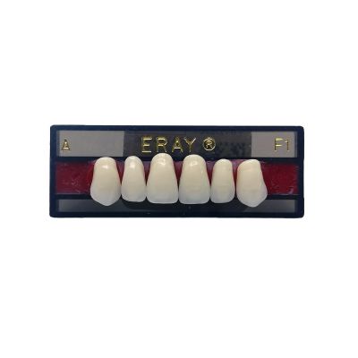 Dents Antérieures Maxi. Eray #F1, D2 - Plaquette De 6