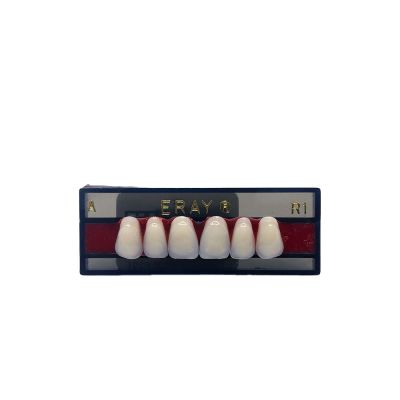 Dents Antérieures Maxi. Eray #R1, D2 - Plaquette De 6