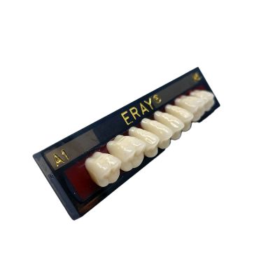 Dents Postérieures Maxi. Eray #M5, D2 - Plaquette De 8