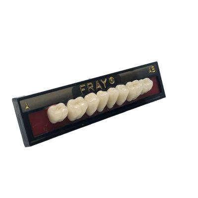 Dents Postérieures Maxi. Eray #AB, D2 - Plaquette De 8