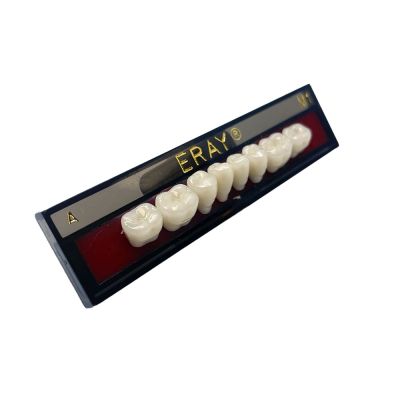 Dents Postérieures Mand. Eray #M1, D2 - Plaquette De 8