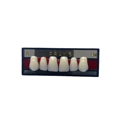 Dents Antérieures Maxi. Eray #H4, D4 - Plaquette De 6