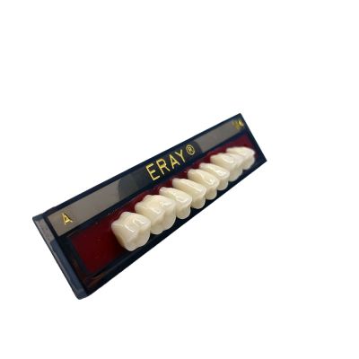 Dents Postérieures Maxi. Eray #M4, D4 - Plaquette De 8