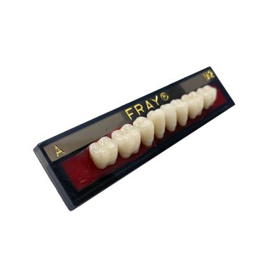 Dents Postérieures Mand. Eray #M2, D4 - Plaquette De 8