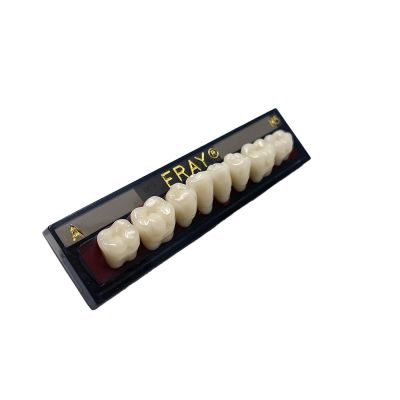 Dents Postérieures Mand. Eray #M5, D4 - Plaquette De 8